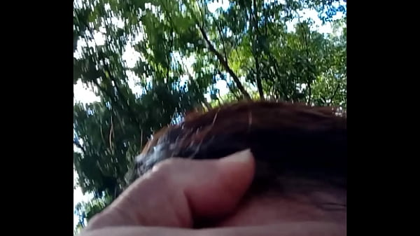 Verification Video - verification-video - Video 1126420