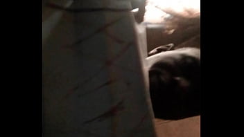 Verification Video - verification-video - Video 1093430