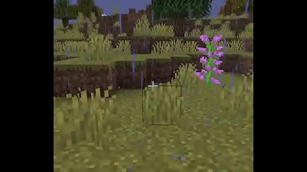 Mi Amigo El Espanta Viejas