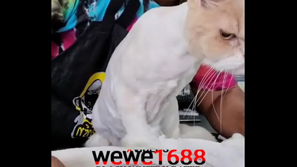 Shaving Pussy..