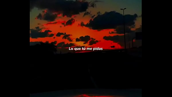 Vídeo De Verificación - verification-video - Video 1113736