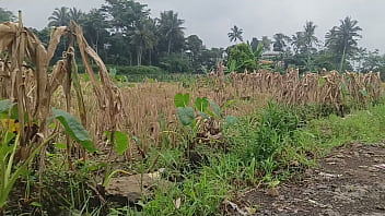 Verification Video - verification-video - Video 1111792