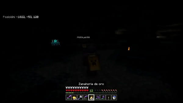 Capturando Un Warden