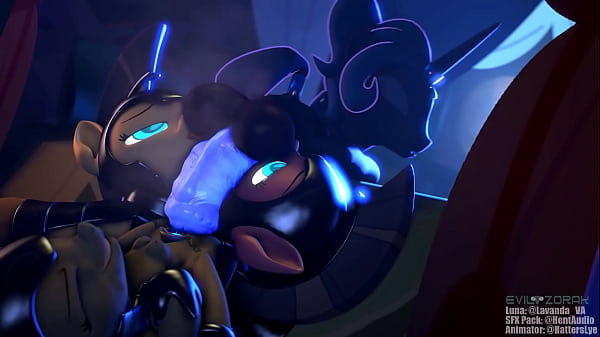 Verification Video - verification-video - Video 1069002