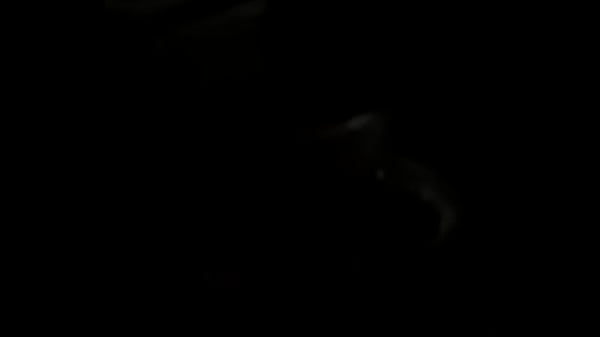 فيديو التحقق - Verification-video - ID1068608