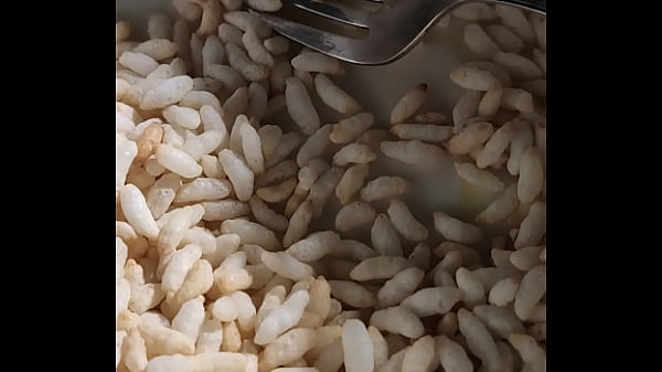 Verification Video - verification-video - Video 1055167