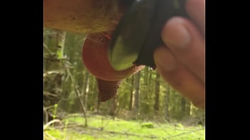 Playing With My New Toy In A Public Forest