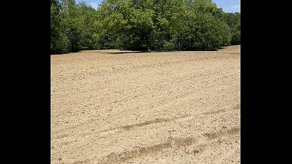 Verification Video - verification-video - Video 1043134