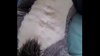 Fursuit Gozando Muito