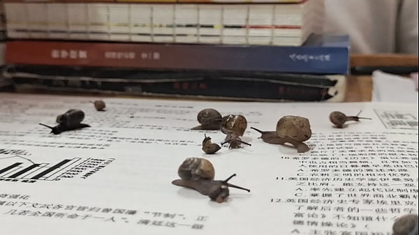 Verification-video - Unknown - 2025 - Sexy - Session - Video 1023685