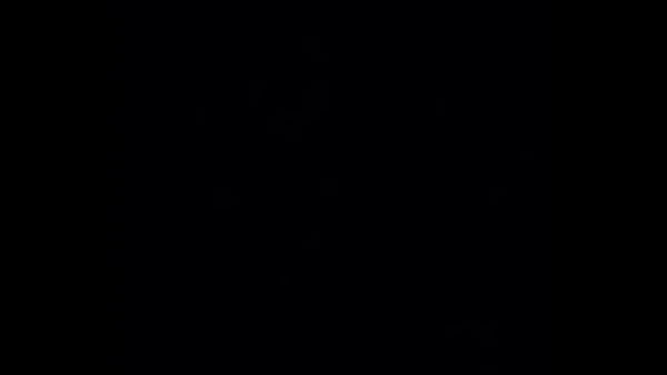 Verifikationsvideo - Big-verification-video