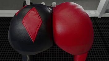 Harley Quinn Compilation - Cartoon-animated-harley-quinn