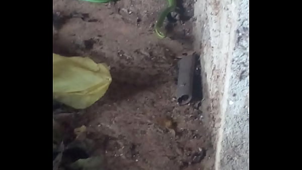 Vídeo De Verificação - verification-video - Video 1050613