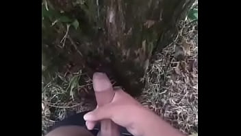 Vídeo De Verificación - bosque, verification-video - Video 1014972