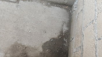 Cogelon Infiel - Hombre, Ecatepec, Cogelon - Unknown - 2025 - Wild - Show - Video 1016819