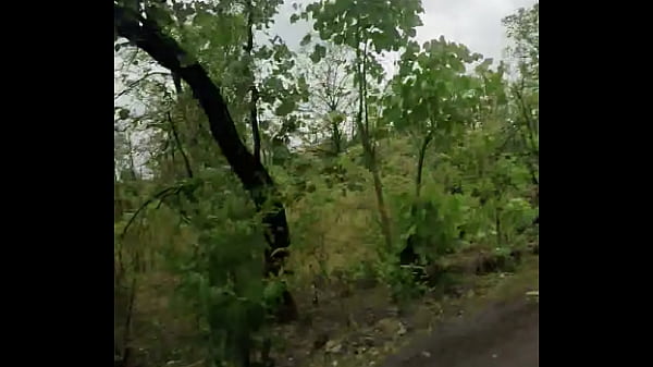 Verification Video - verification-video - Video 1010153