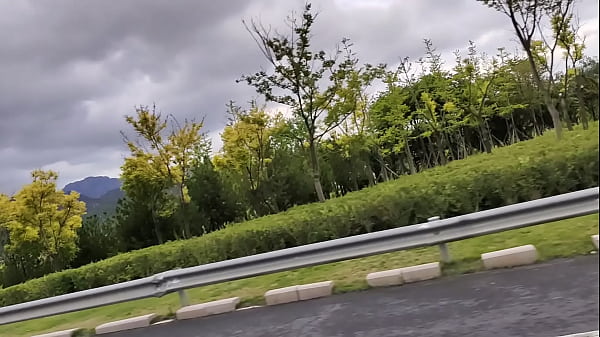 Verification-video - Unknown - 2025 - Wild - Experience - Video 974250