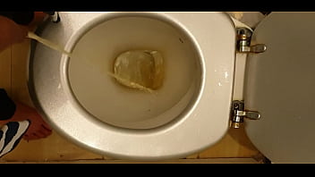 Pissing In The Toilet :)
