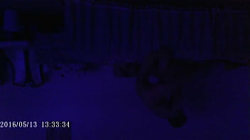 My Japanes Girl Friend