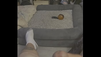 Really In The Mood Lump