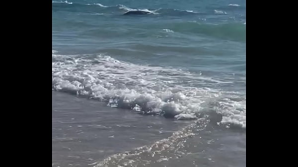 Vídeo De Verificación - verification-video - Video 950326