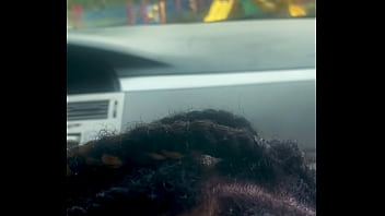 Verification Video - verification-video - Video 972499