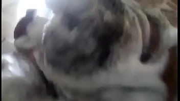 Eecom - Hetero, Casadas, Cornudos - Unknown - 2025 - Intense - Session - Video 927539