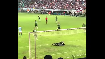 Vídeo De Verificação - verification-video - Video 928809