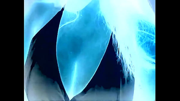 นมใหญ่, ร่าน, ดอกทอง - Unknown - 2025 - Intense - Show - Video 927914