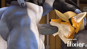 Blowjob, Deepthroat, Gay, Yiff, Furry - Gay - 2025 - Hot - Show - Video 900139