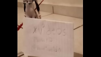 Vídeo De Verificación - verification-video - Video 893252