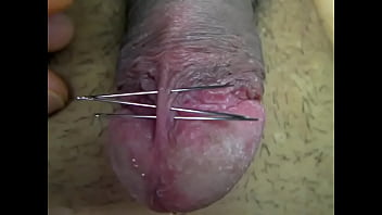 Mazohrs - Cock, Bdsm, Japanese, Pain, Penis, Cbt, Glans - Bdsm - 2025 - Passionate - Scene - Video 879445