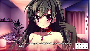 Land Of The Free Gameplay