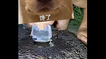 Jake - Verification-video, 视频验证 - Unknown - 2025 - Amazing - Show - Video 846724