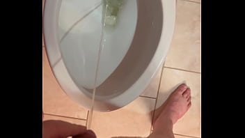 Pissing In Toilet - cock, hairy, solo, dick, pissing, piss, watersports, soloboy - Video 820662