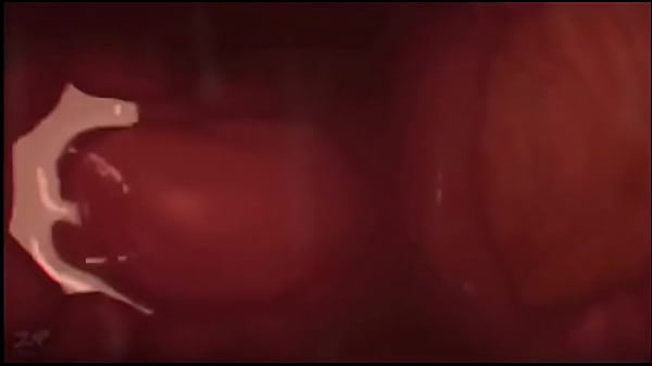 Cumshot, Cum, Pussy, Cock, Dick - Cumshot - 2025 - Amazing - Performance - Video 816564