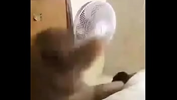 Verification Video - verification-video - Video 713585