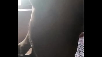 Verification Video - verification-video - Video 812136