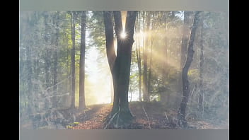 Quand Le Chat A Décidé De Regarder La Télévision