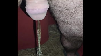 Kaso221 - short piss outside at 6am