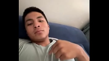 Verification Video - verification-video - Video 798151