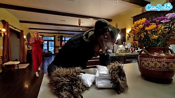 Sexy Blonde Girl Gets Fucked Hard By Bbc