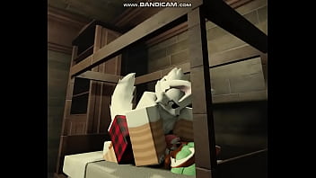 Red Panda And Boykisser (pt.1)