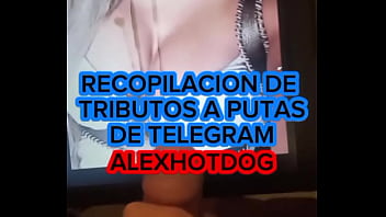 Recopilacion De Tributos A Putas De Telegram Vol1 Alexhotdog