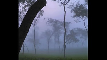 Verification Video - verification-video - Video 617032