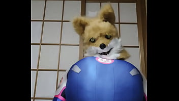 Busty Fox - Gay, Verification-video - Gay - 2025 - Intense - Experience - Video 699990