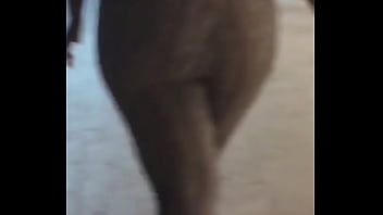 Hershey Stallion Yams