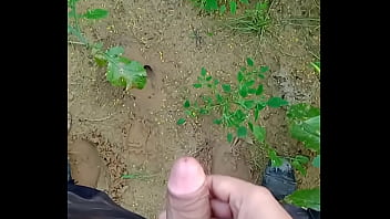 Verification Video - verification-video - Video 658188