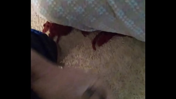 Quickie While Trying To Watch Regular Show 5