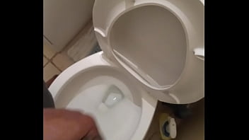 Quickie In The Bathroom 2